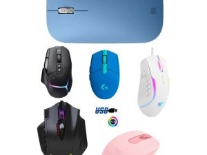 mouse